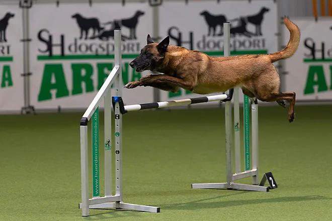 Agility Masters 2025