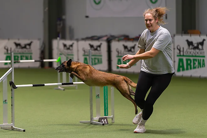 Agility Masters 2025