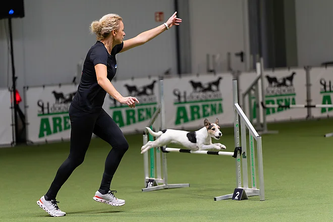 Agility Masters 2025