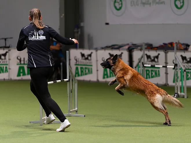 Agility Masters 2025