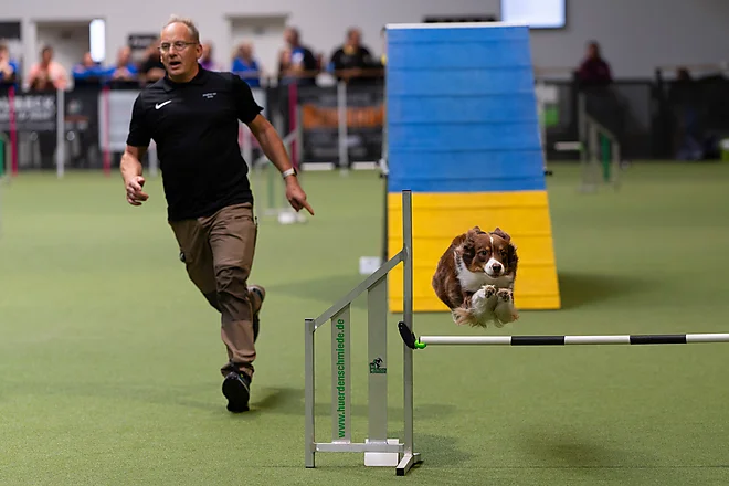 Agility Masters 2025