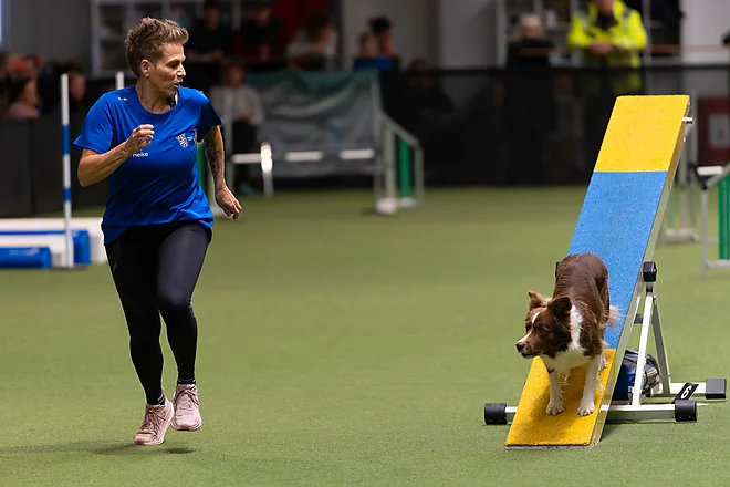 Agility Masters 2025