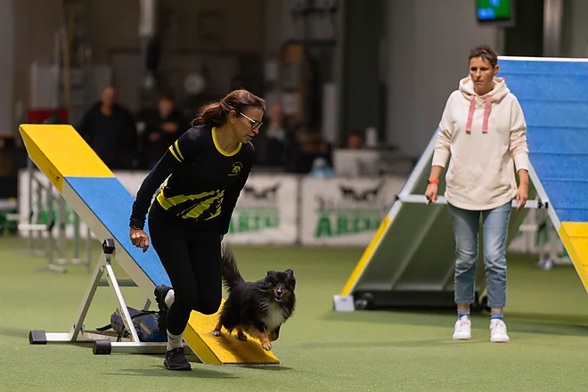 Agility Masters 2025