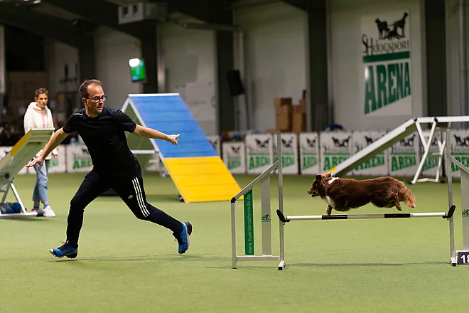 Agility Masters 2025