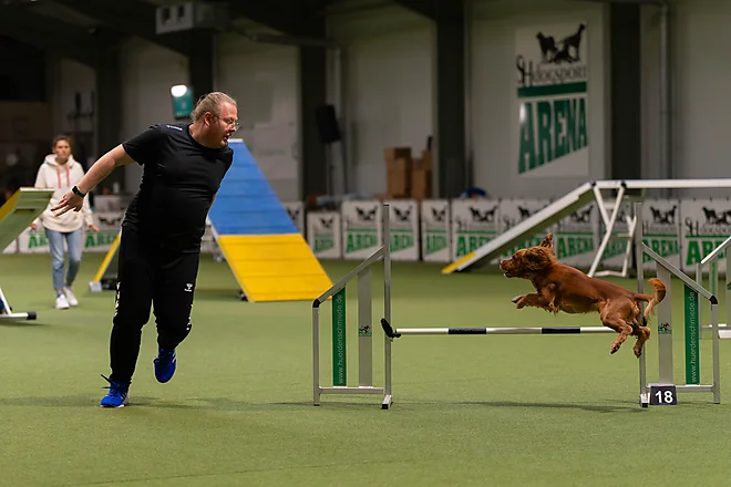 Agility Masters 2025