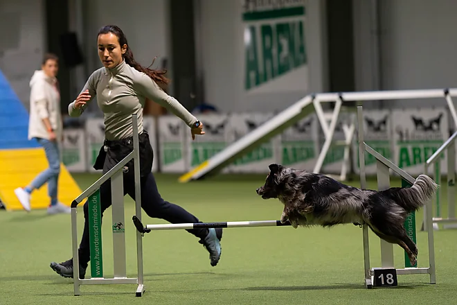 Agility Masters 2025