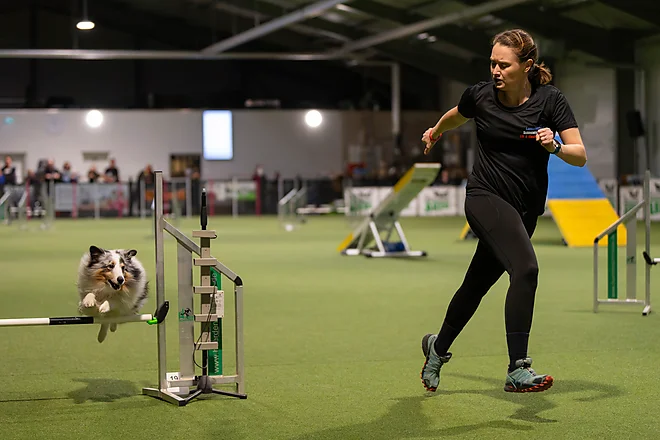 Agility Masters 2025