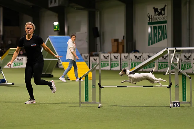 Agility Masters 2025