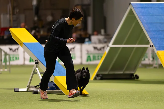 Agility Masters 2025