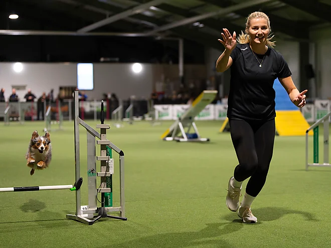 Agility Masters 2025