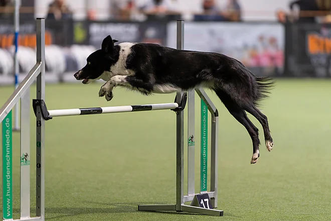 Agility Masters 2025