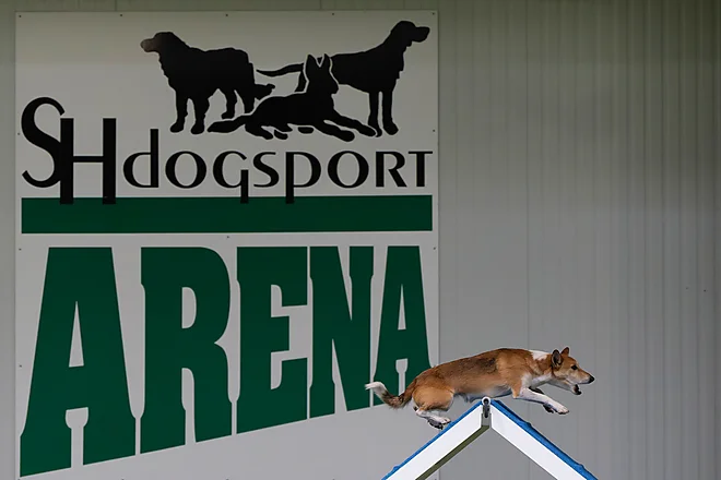 Agility Masters 2025