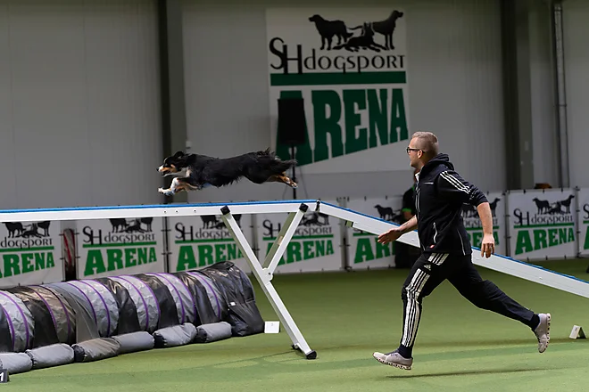 Agility Masters 2025