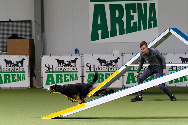 Agility Masters 2025