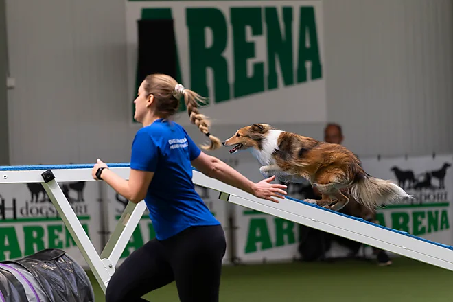 Agility Masters 2025