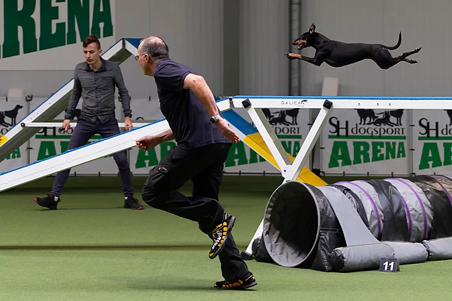 Agility Masters 2025
