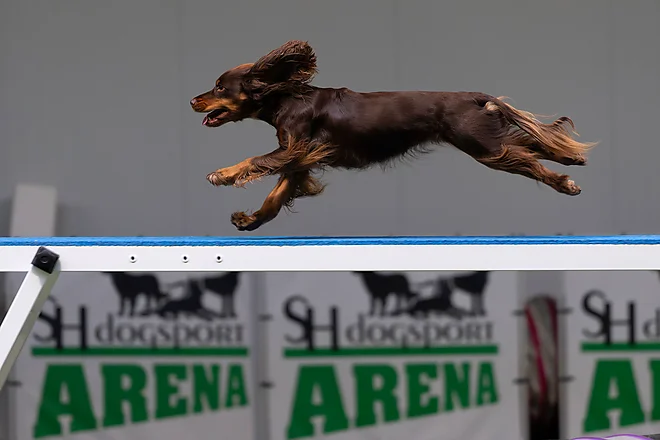 Agility Masters 2025