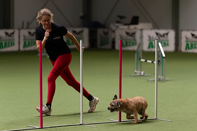 Agility Masters 2025