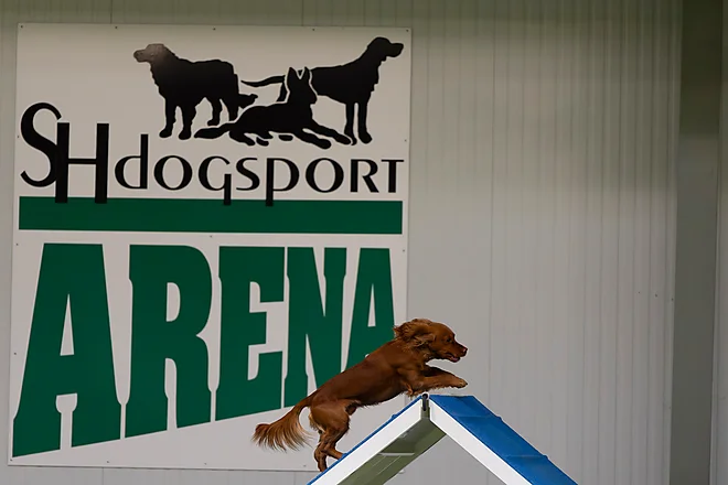 Agility Masters 2025