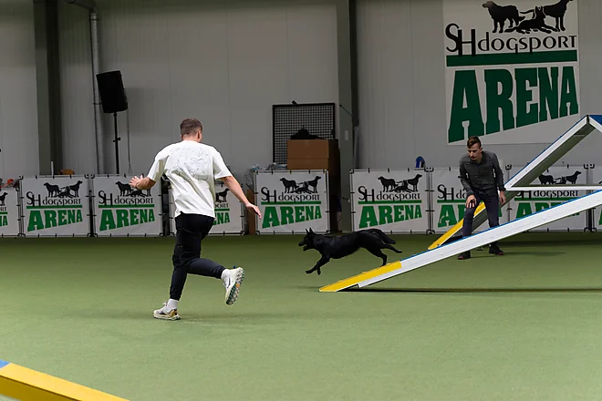 Agility Masters 2025