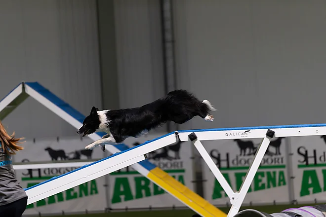 Agility Masters 2025