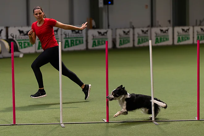 Agility Masters 2025