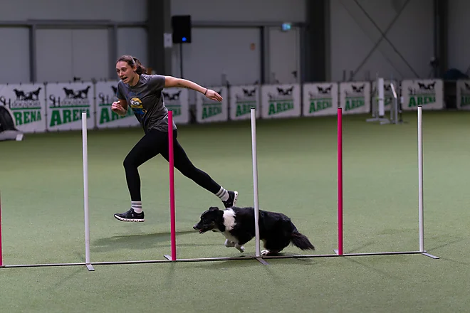 Agility Masters 2025