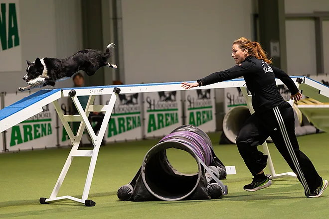 Agility Masters 2025