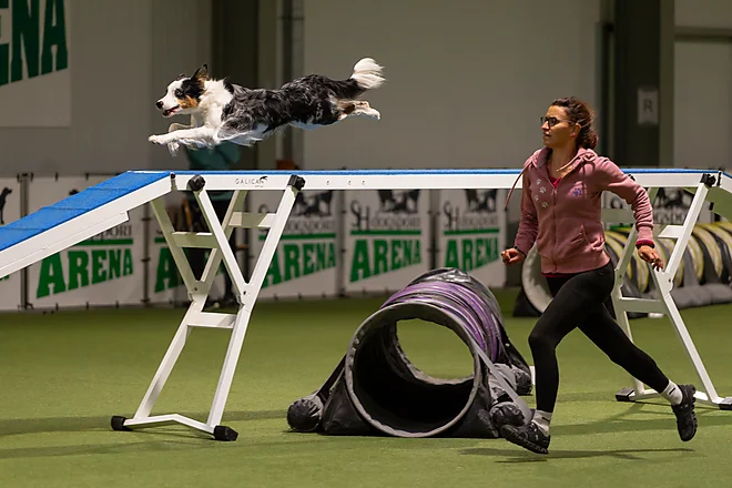 Agility Masters 2025