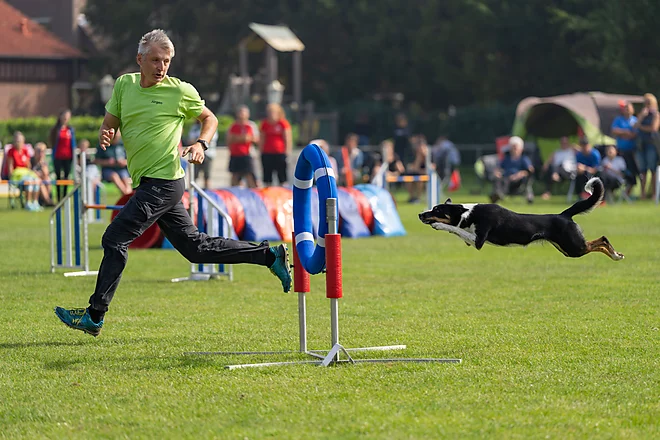 Agility Bundessiegerprüfung
