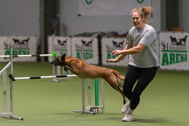 Agility Masters 2025