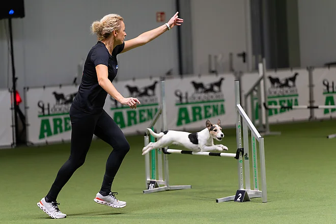 Agility Masters 2025