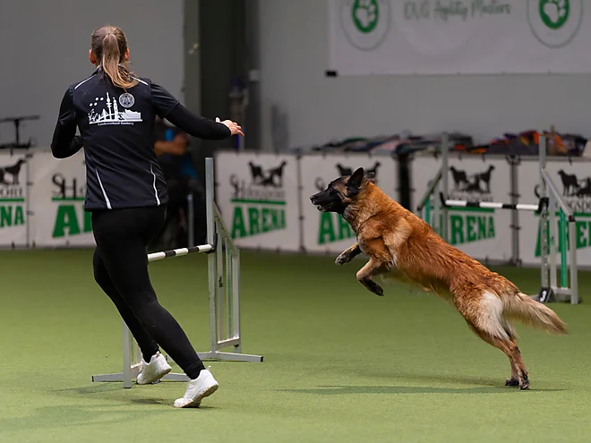 Agility Masters 2025
