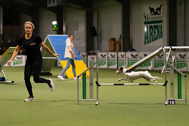 Agility Masters 2025