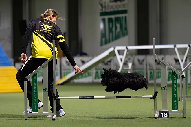 Agility Masters 2025