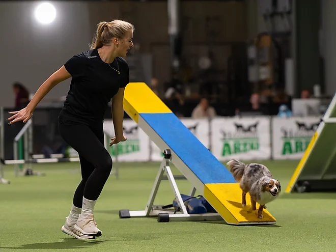 Agility Masters 2025