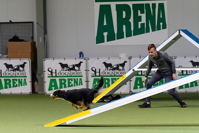 Agility Masters 2025