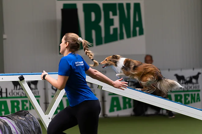 Agility Masters 2025