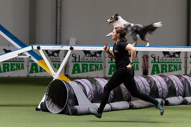 Agility Masters 2025