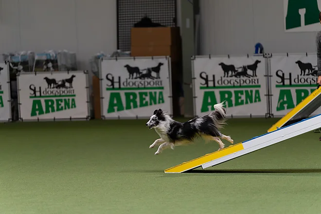 Agility Masters 2025