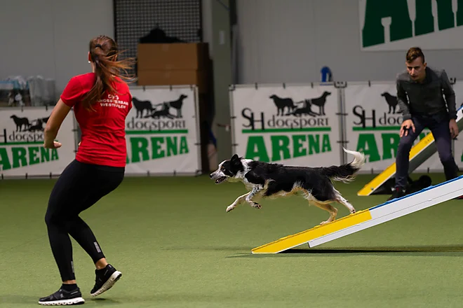 Agility Masters 2025
