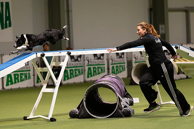 Agility Masters 2025