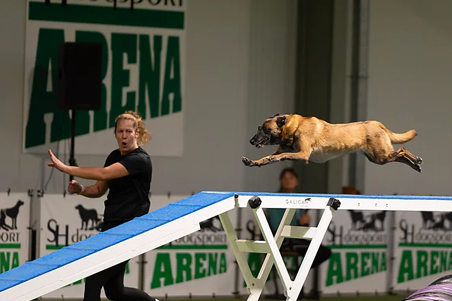 Agility Masters 2025